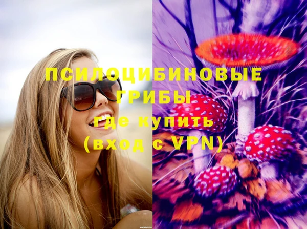 мяу мяу мука Алексин