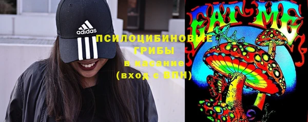 Альфа ПВП Алзамай