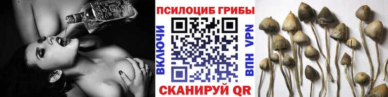 Псилоцибиновые грибы Magic Shrooms  Порхов 